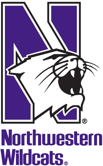 Northwestern Wildcats 1981-Pres Alternate Logo t shirts iron on transfers v2